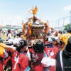 芝ふるさとまつり
