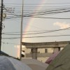 IMG_5773